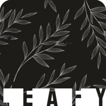 Leafy Design Invitations by My Shadi Cards